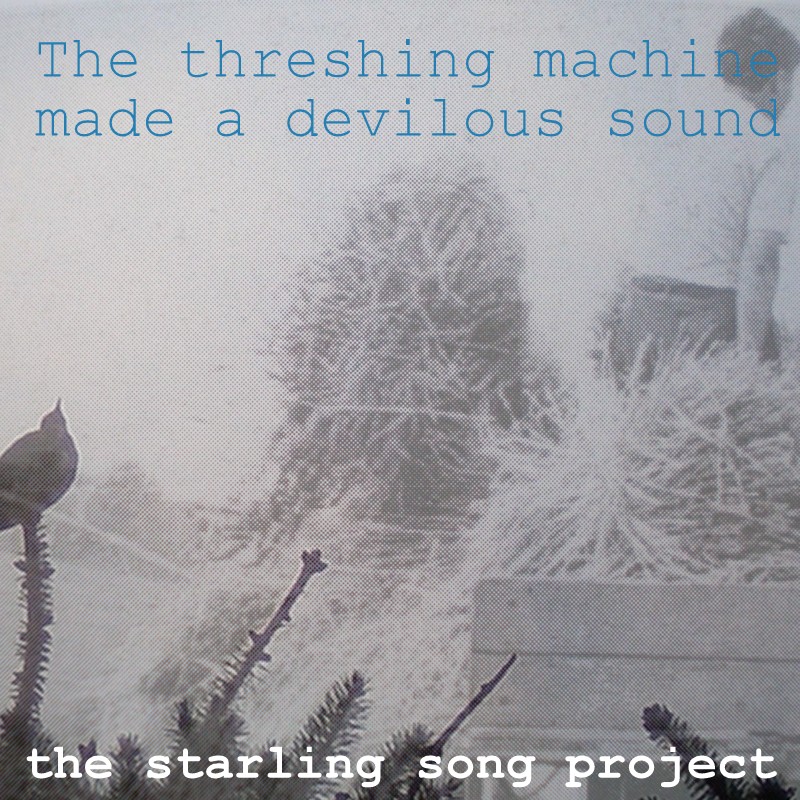 Starling Song Project